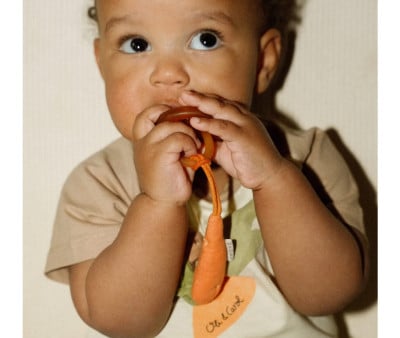 Pacifier Clip Cathy the Carrot