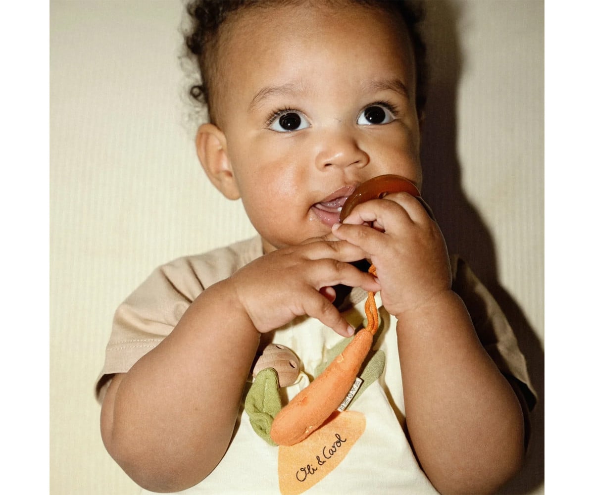 Pacifier Clip Cathy the Carrot