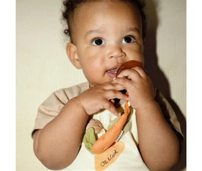 Pacifier Clip Cathy the Carrot