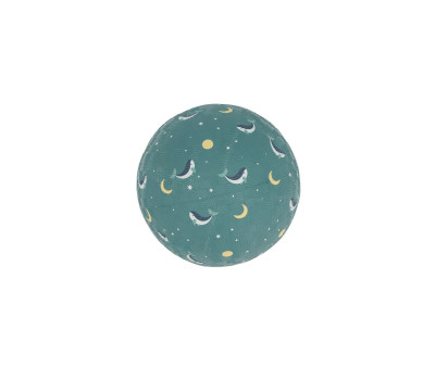 Pelota Pequeña Whale Teal