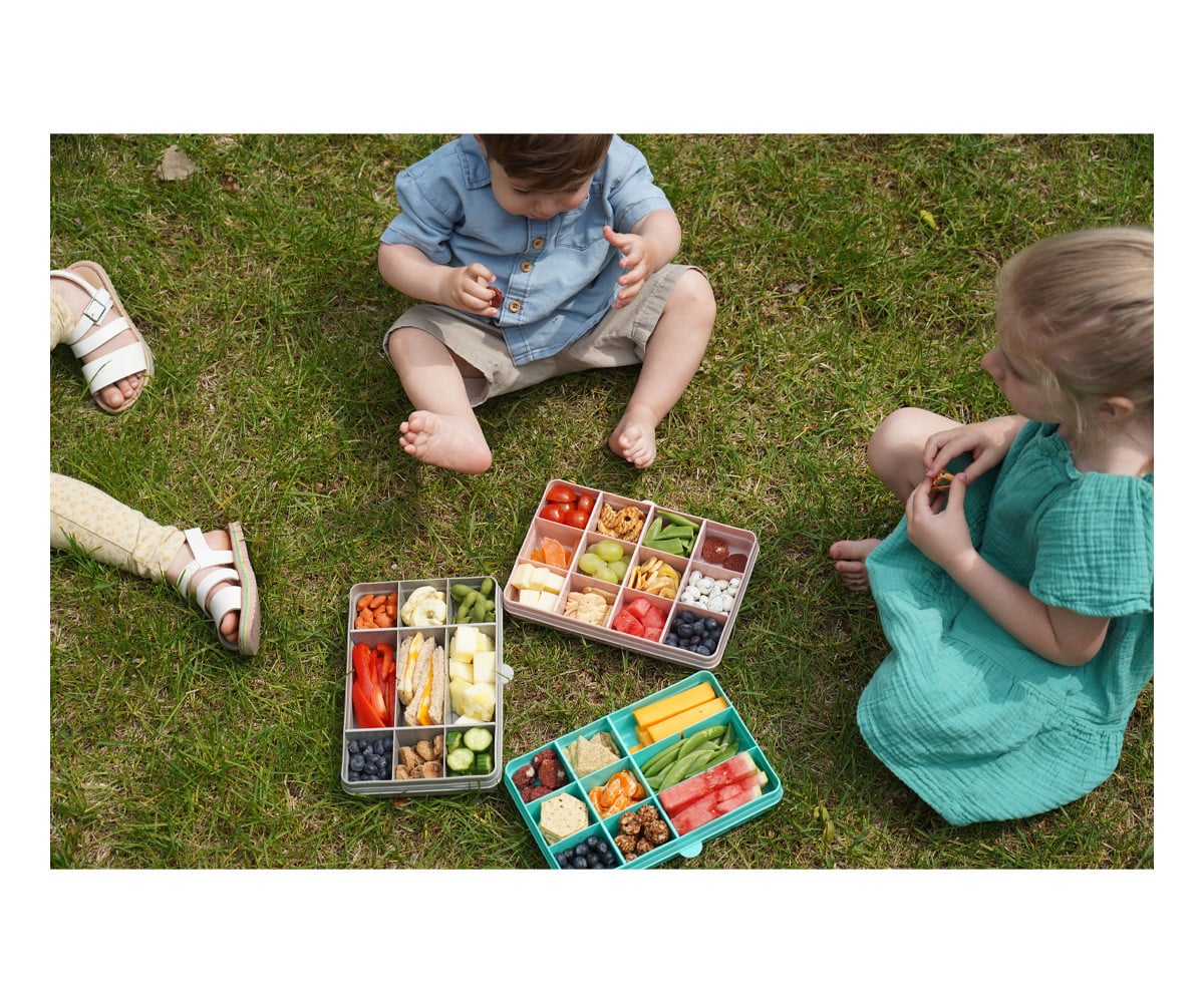Snackle Box Grey