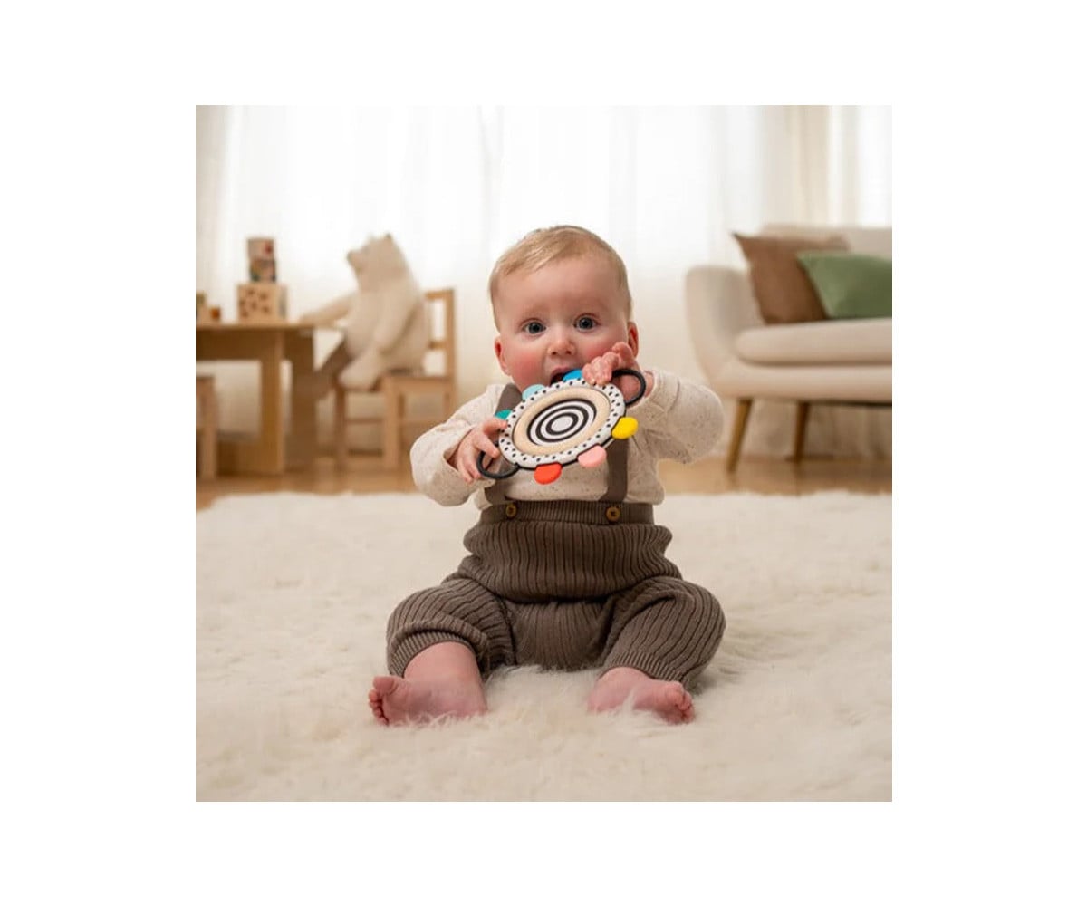 Wimmer Sensory Mirror with Teethers