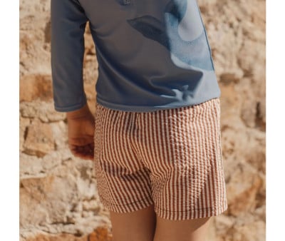 Bañador Short Ocean Brown Stripes