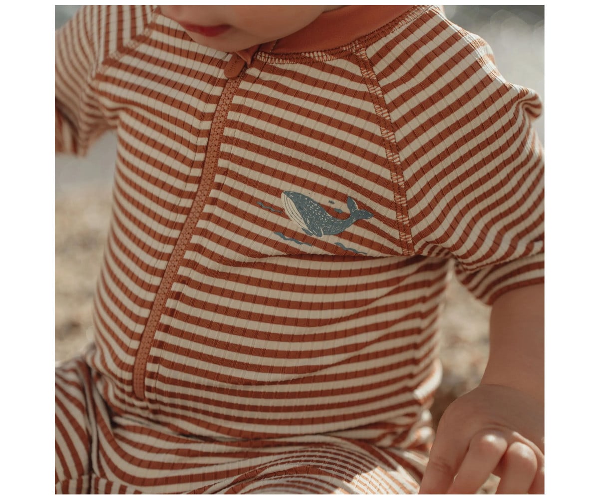 Bañador con Cremallera Ocean Brown Stripes