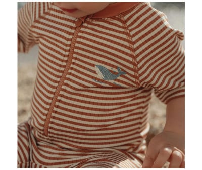 Bañador con Cremallera Ocean Brown Stripes