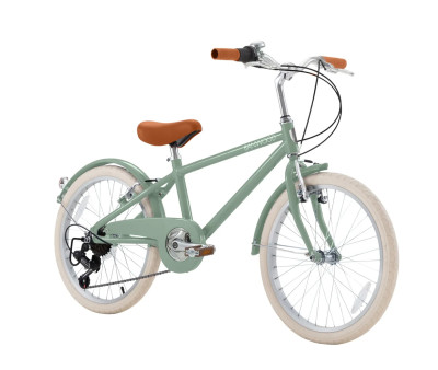 Vélo Banwood Classic 20\'\' Forest