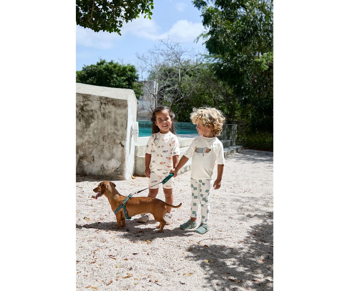 Camiseta de proteção solar Beach Dog Sea Salt