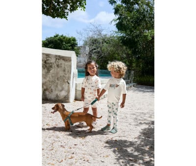 Camiseta de proteção solar Beach Dog Sea Salt