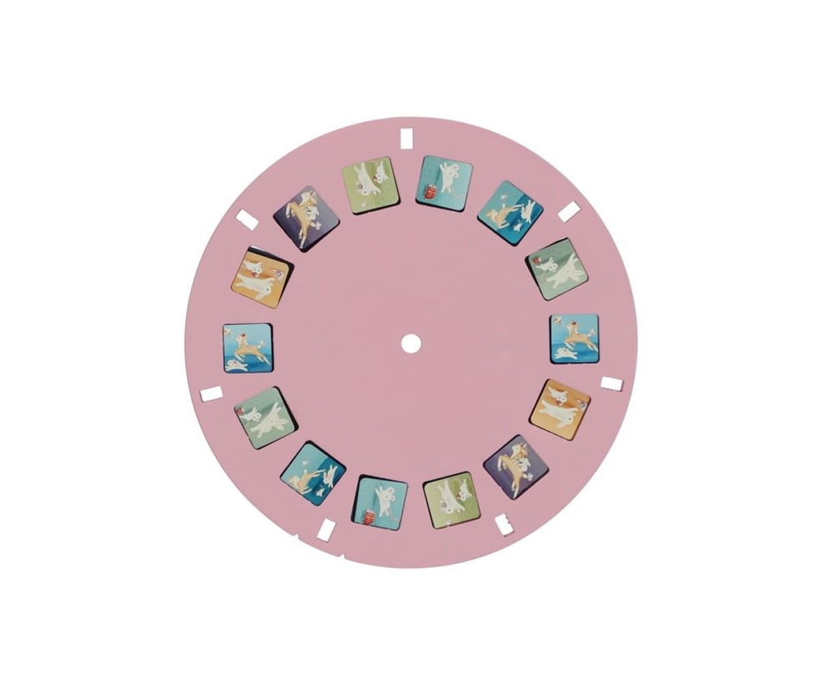 Visor de Historias Fairy Garden