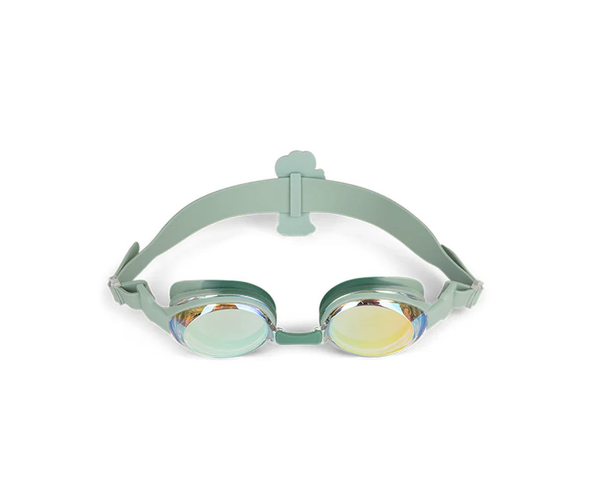 Lunettes de Natation Green Dog