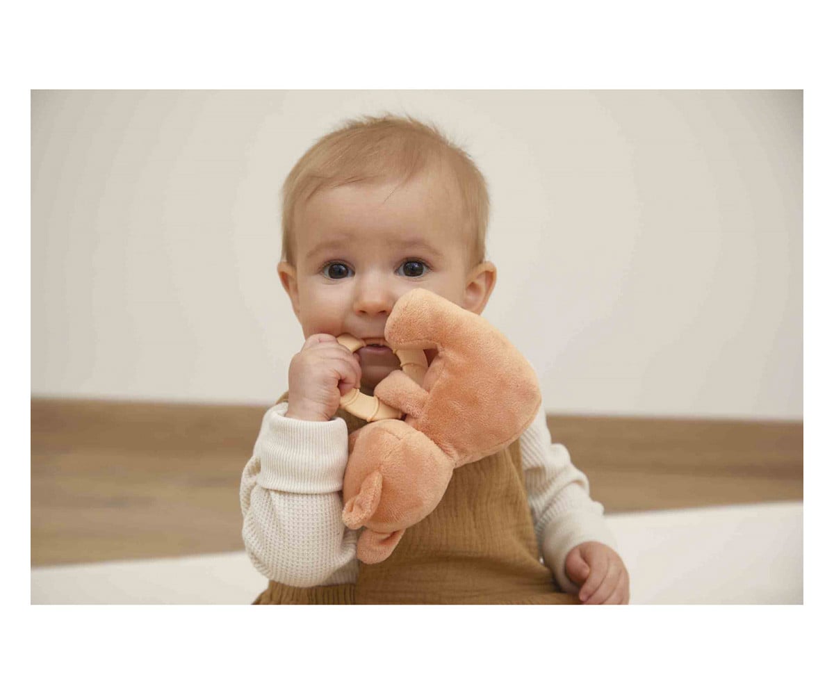 Peluche con Dentarello Scoiattolo