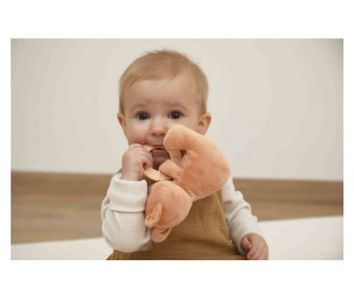 Peluche con Dentarello Scoiattolo