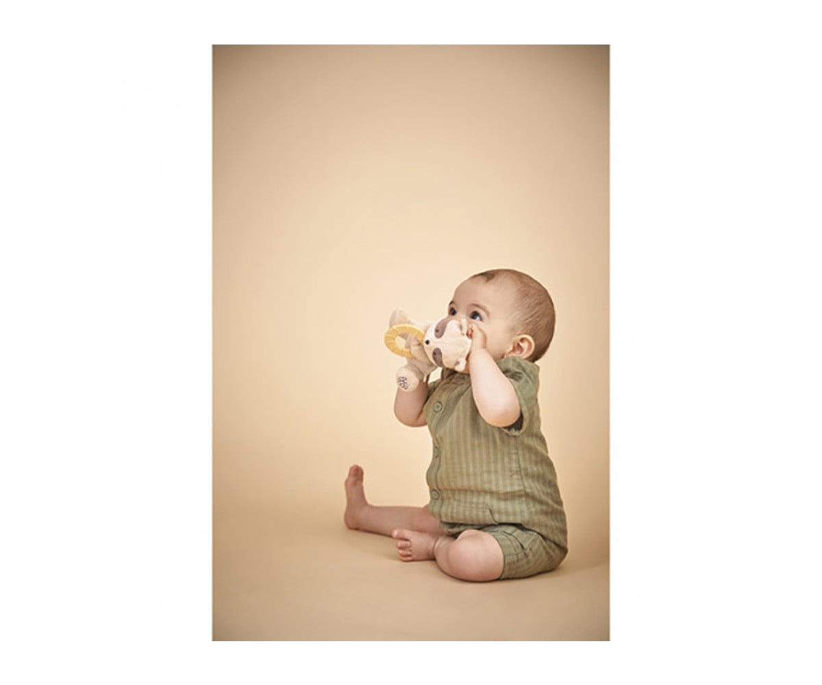 Peluche con Dentarello Procione
