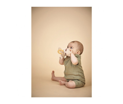 Peluche con Dentarello Procione
