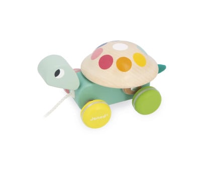 Gioco Trainabile Zigolos Turtle Rattle