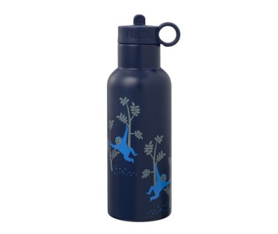 Botella Térmica con Boquilla Recambio Mono 500ml