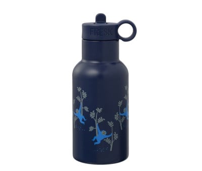 Botella Térmica con Boquilla Recambio Mono 350ml