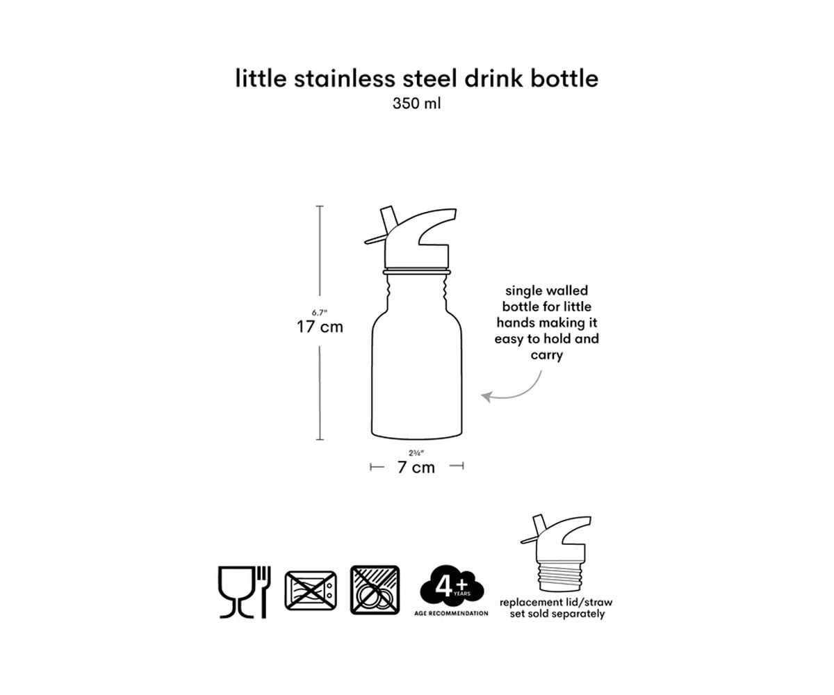 Botella Térmica Acero Dinosaurio 350ml