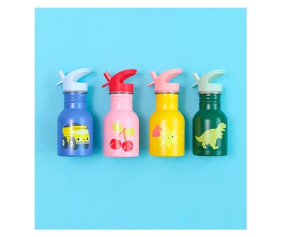 Botella Térmica Acero Dinosaurio 350ml