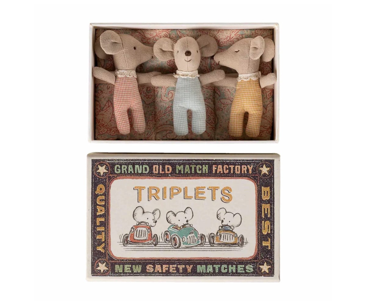 3 Gemelli Baby Mice Check,Twins in Box