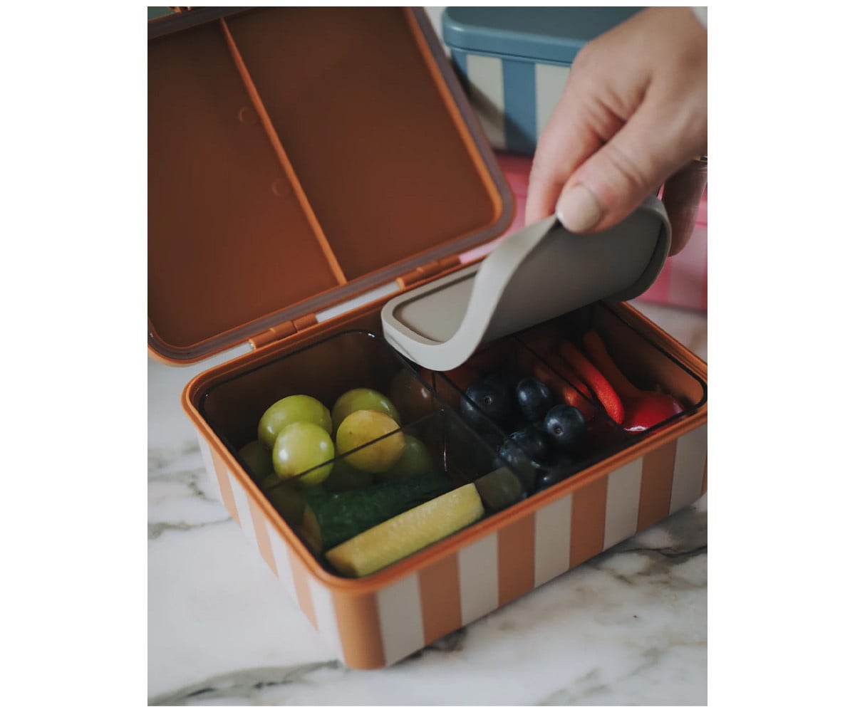 Bento Box with 3 Removable Green Trays
