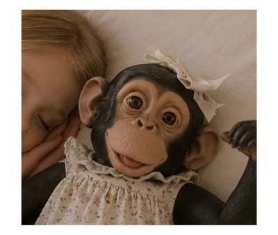 Lola la Chimpancé colección Teresa