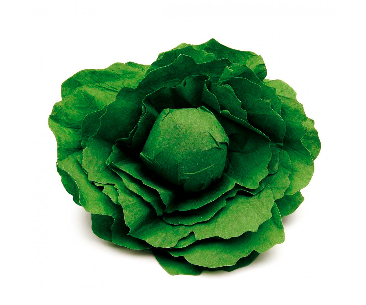 Lechuga de Madera