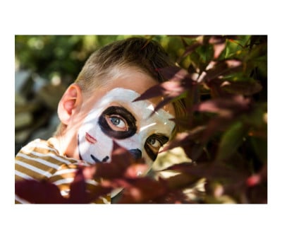 Fard de Maquillage Blanc