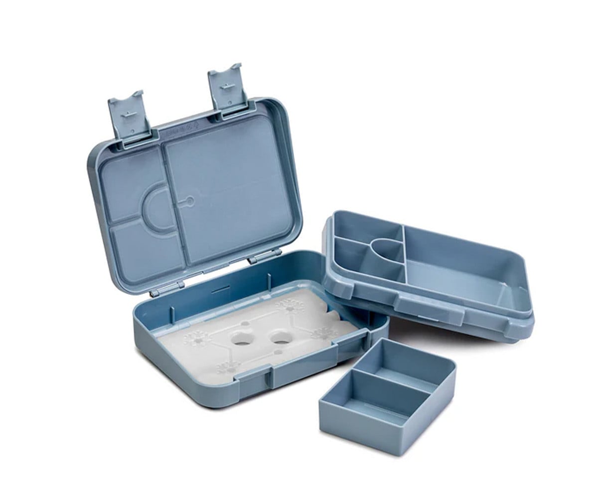 Bento Chill Lunch Box Dino