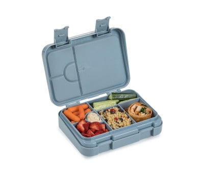 Bento Chill Lunch Box Dino