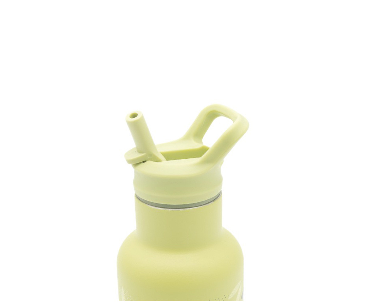 Garrafa térmica com palhinha Dino 350 ml