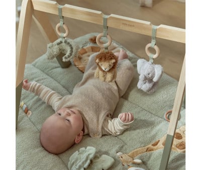 Gimnasio Infantil Madera Safari Friends