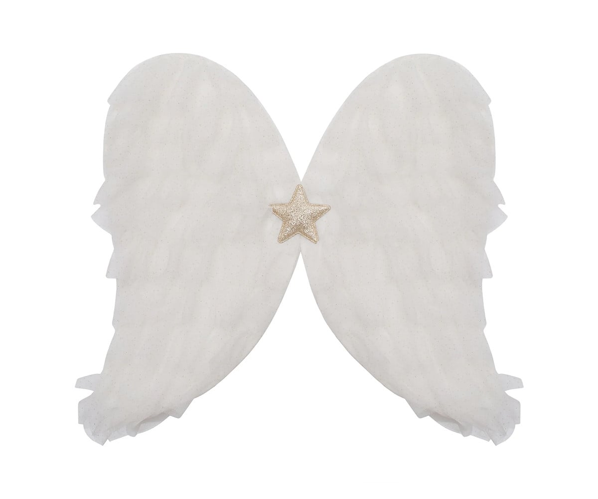 Asas brancas de anjo
