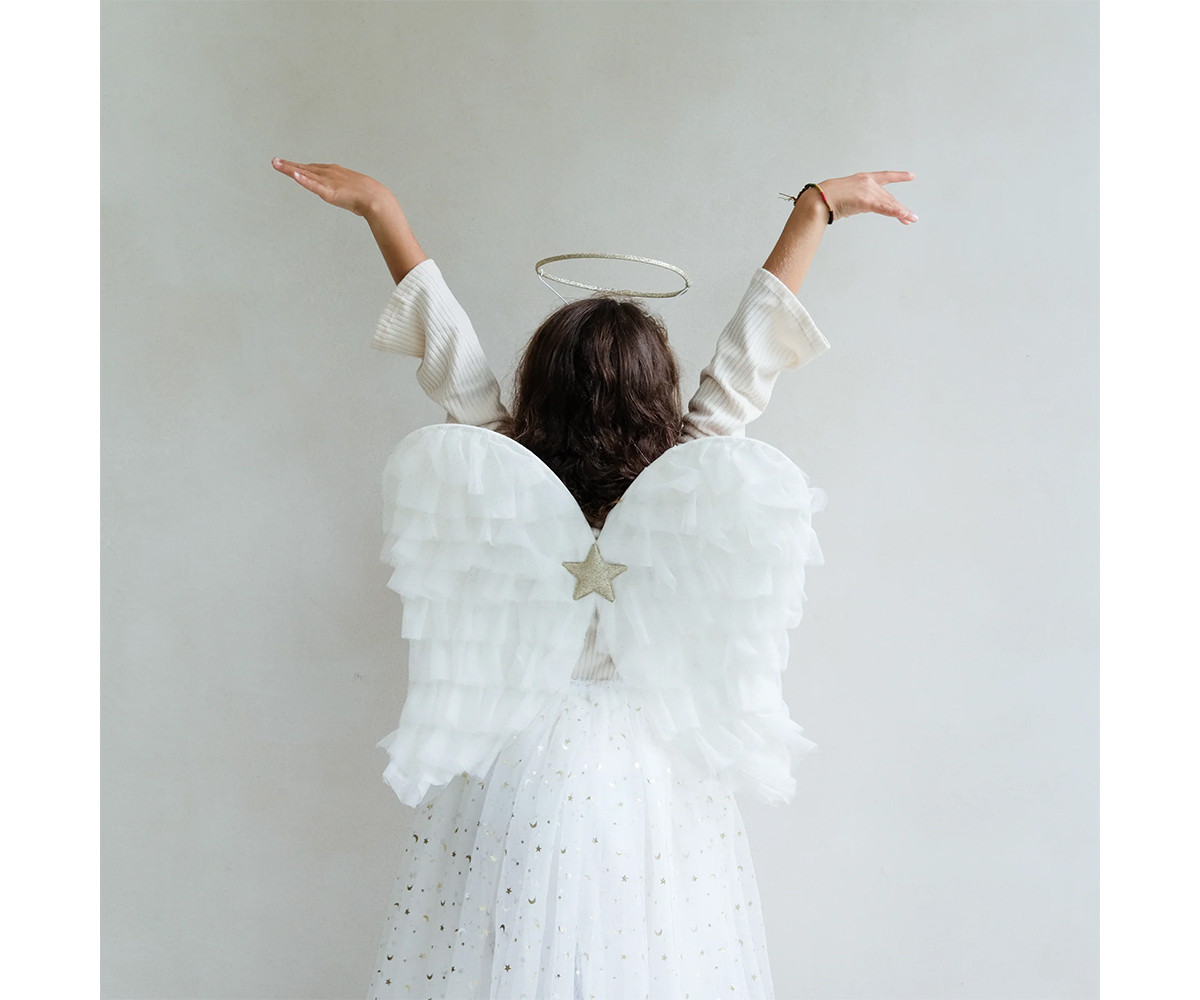 Asas brancas de anjo