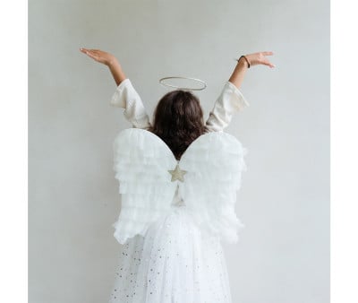 Asas brancas de anjo