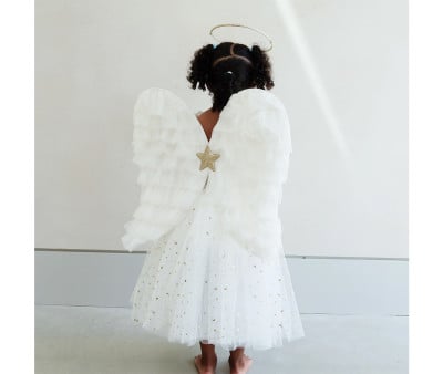 Asas brancas de anjo