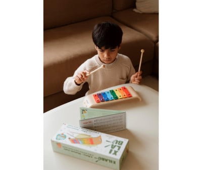 Xylabu Xilofono per Bambini con Libro di Canzoni ES