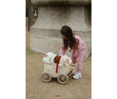 Carrinho de passeio Wagon Cherry Dolls