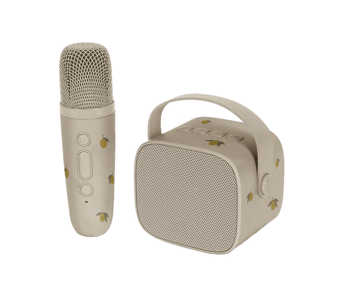Alto-falante Bluetooth e karaokê Lemon