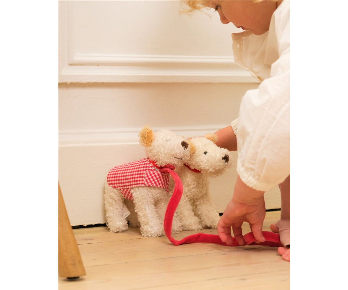 Peluche Perrito Mini Eliot con Correa y Abrigo