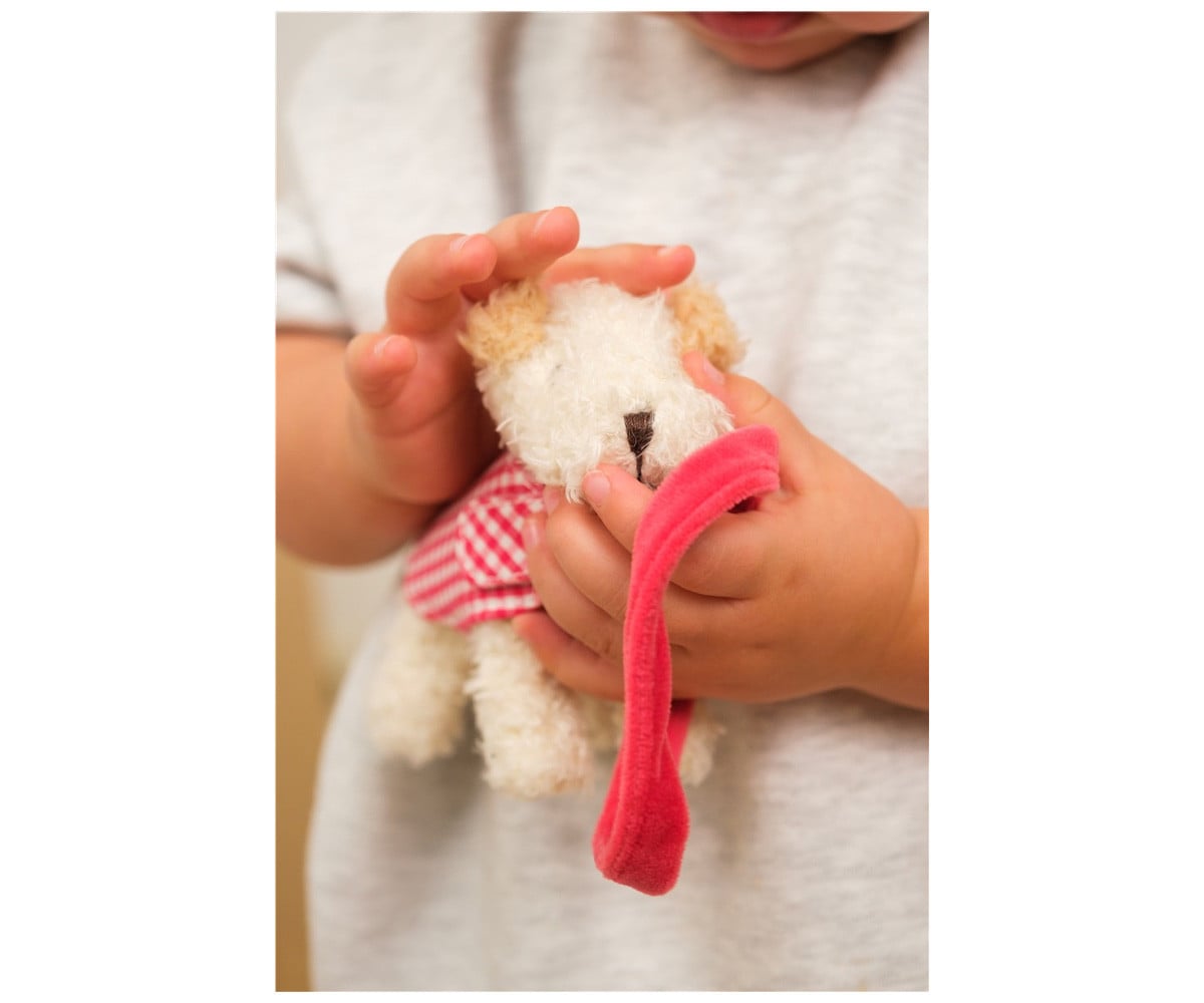 Peluche Perrito Mini Eliot con Correa y Abrigo