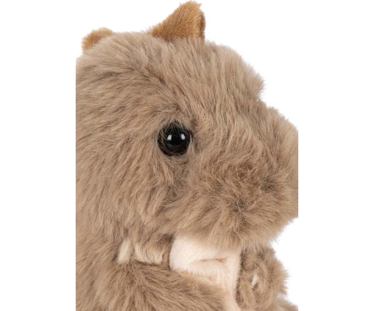 Doudou Sleepy Animals Dragon Personalizable