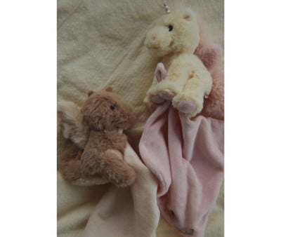 Doudou Sleepy Animals Dragon Personalizable
