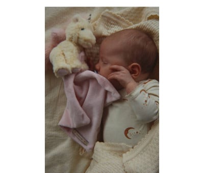 Doudou Sleepy Animals Unicorn Personalizzabile