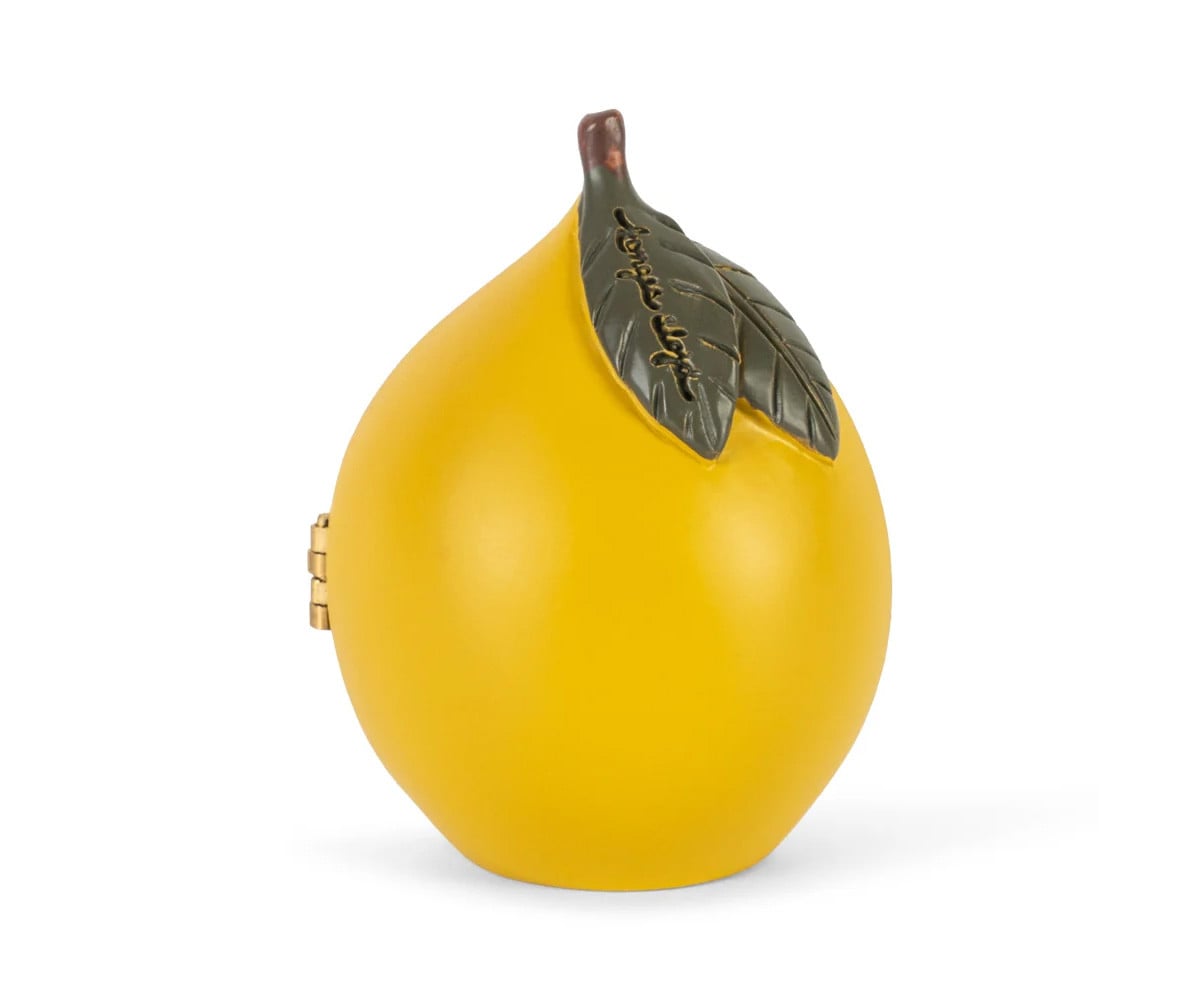 Mini Lemon Surprise House