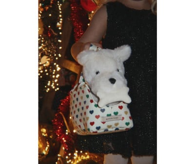 Peluche Perrito Terrry Puppy Coeur Color