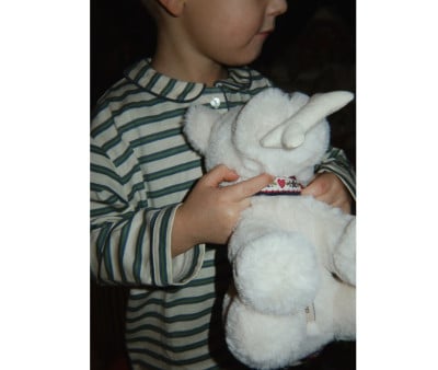 Peluche Perrito Terrry Puppy Coeur Color