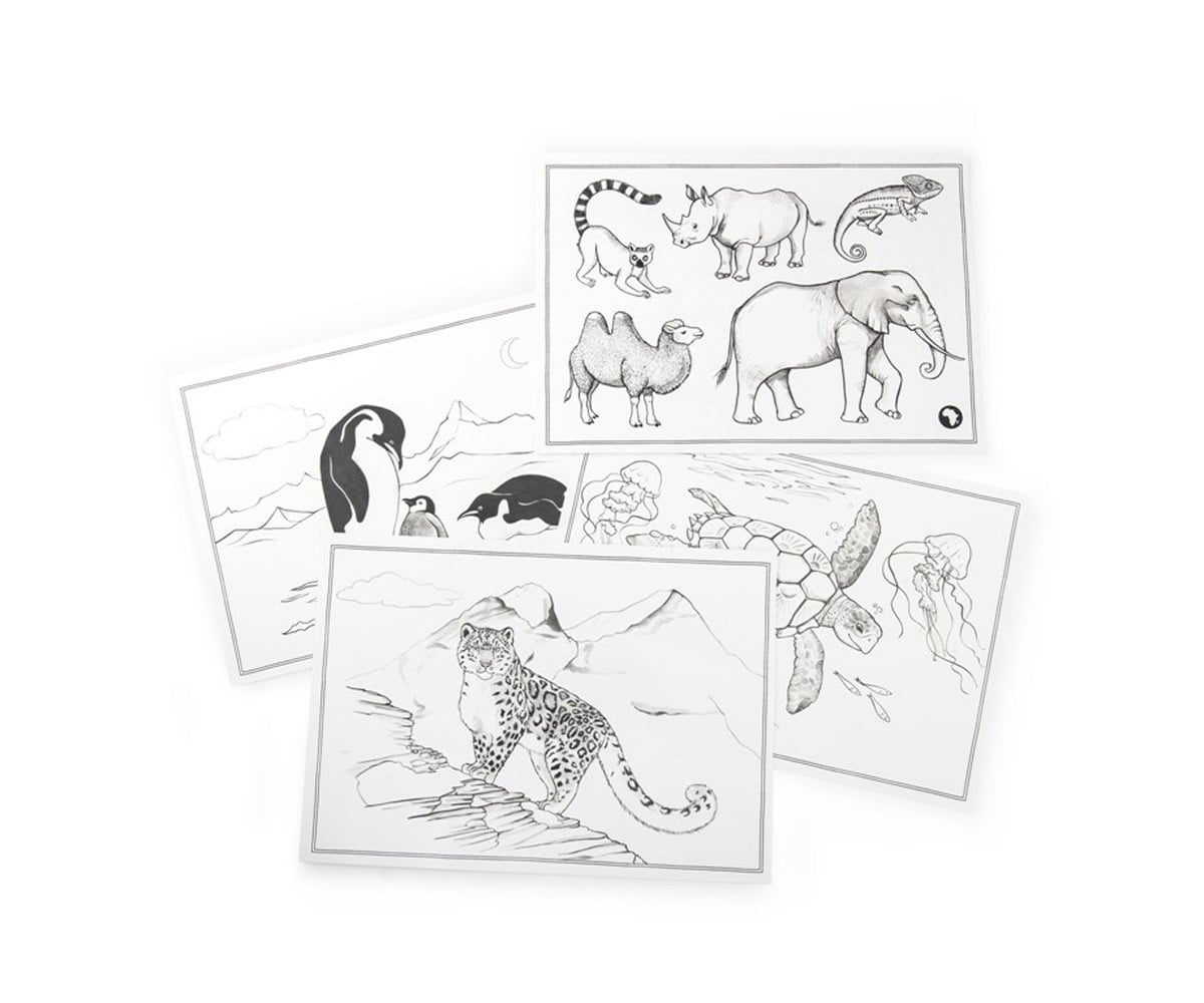 Plantillas de Dibujo MR Autour du Monde