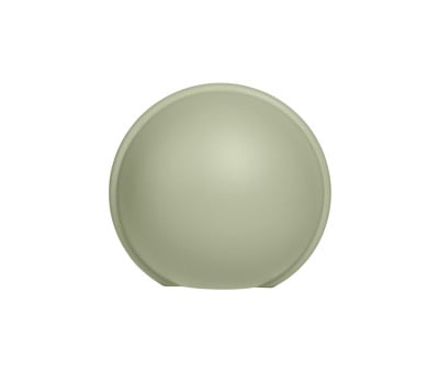 Proteggi Ciuccio Mini BIBS Sage