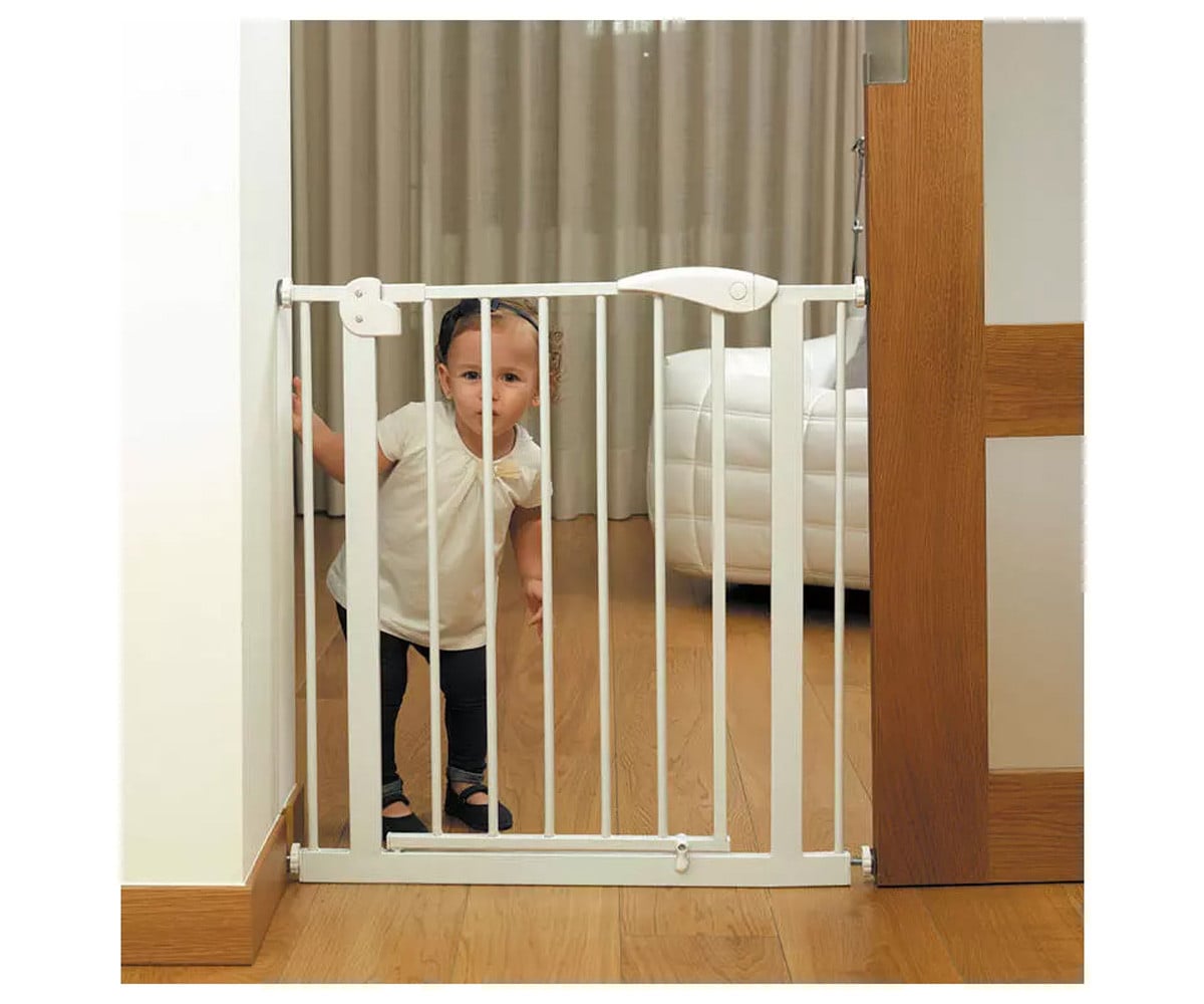 Puerta de Seguridad + Extensión Metálica